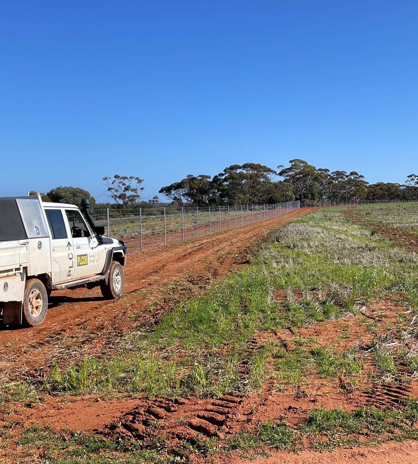 A long run of exclusion fencing installed by PLC Fencing in Cooltong, SA.