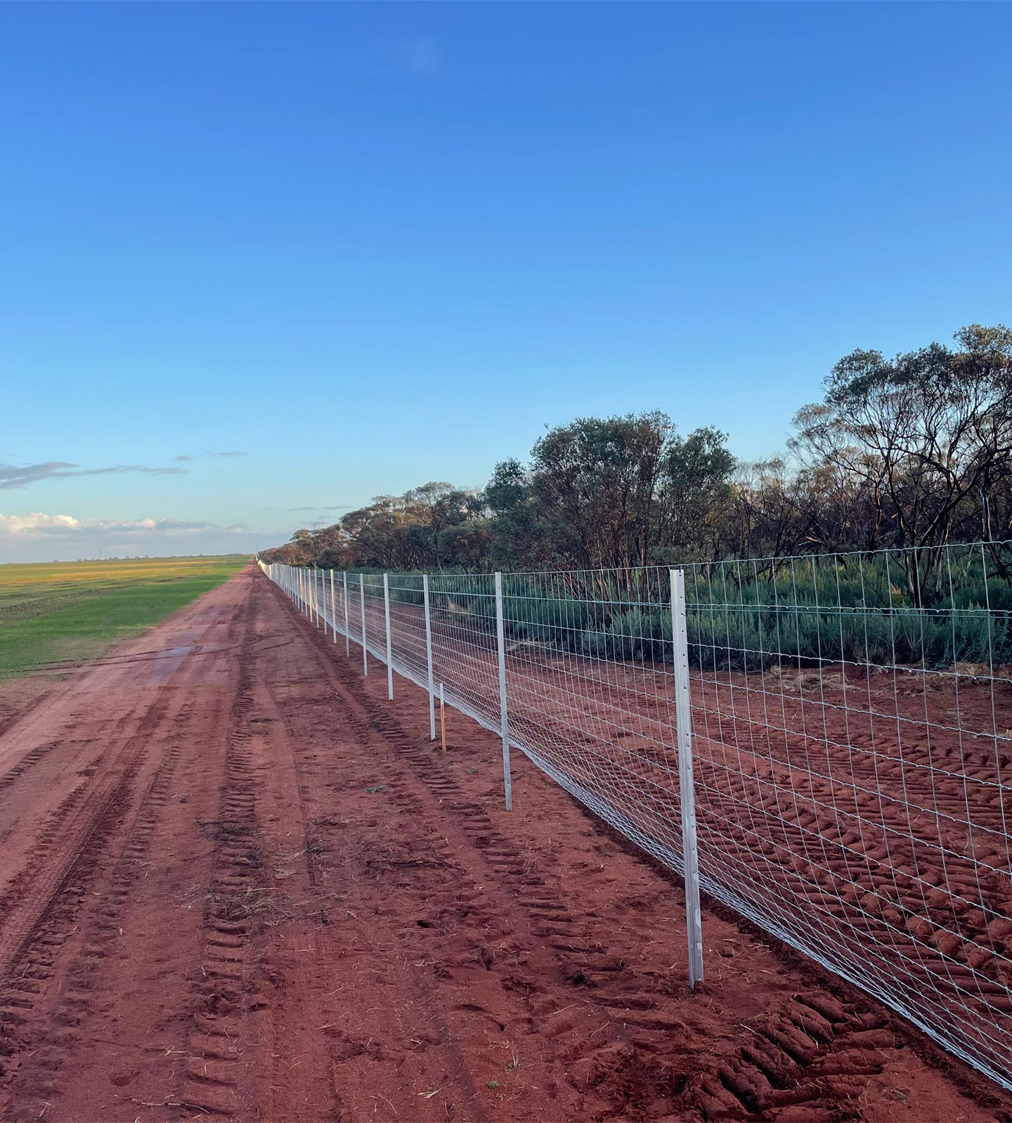 A long run of exclusion fencing installed by PLC Fencing in Cooltong, SA.